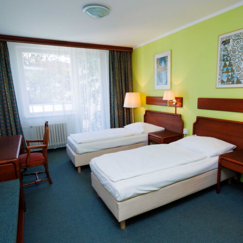 Camera twin business cu balcon