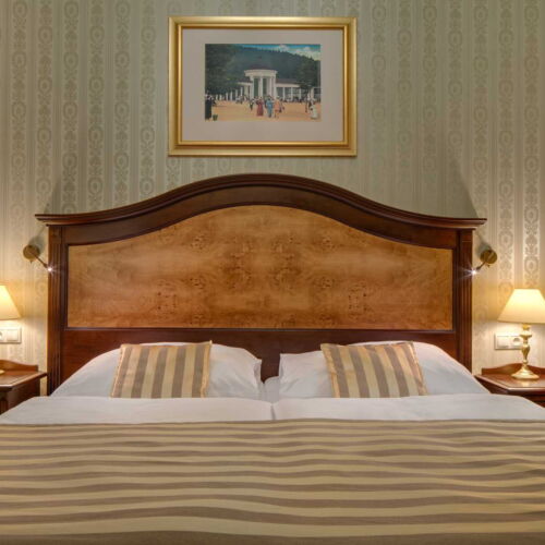 Junior Suite Deluxe single use Pokoj pro 1 os.