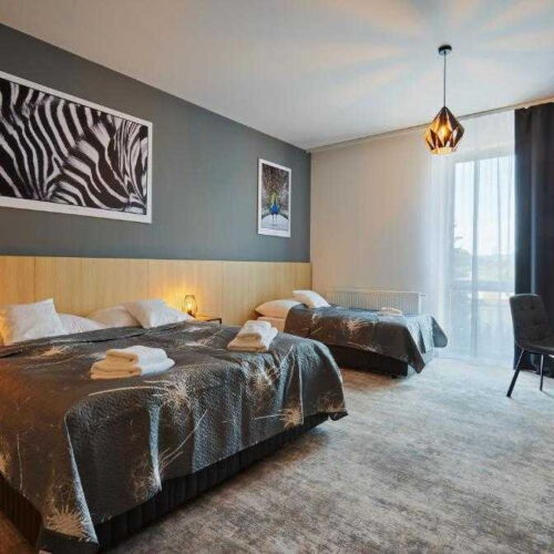 Deluxe Pokoj se sprchou pro 3 os.