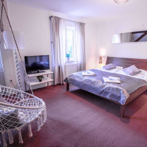 Rodinný Pokoj se sprchou s manželskou postelí (s možností přistýlky)