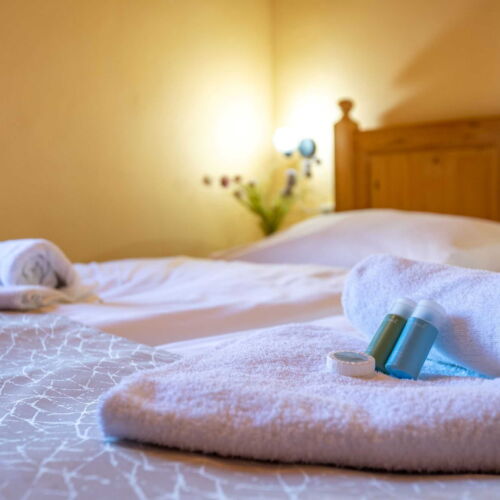 Standard Pokoj se sprchou s manželskou postelí