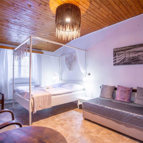 Komfort Pokoj se sprchou s manželskou postelí (s možností přistýlky)