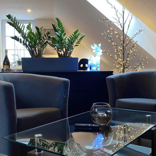 Deluxe Studio 1-Zimmer-Apartment für 3 Personen (Zusatzbett möglich)