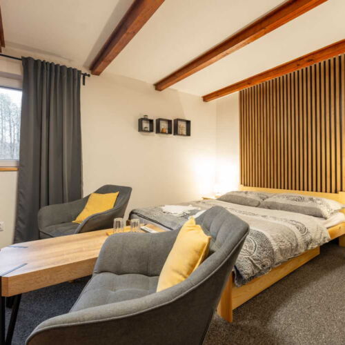 Pokoj se sprchou  s manželskou postelí (s možností přistýlky)