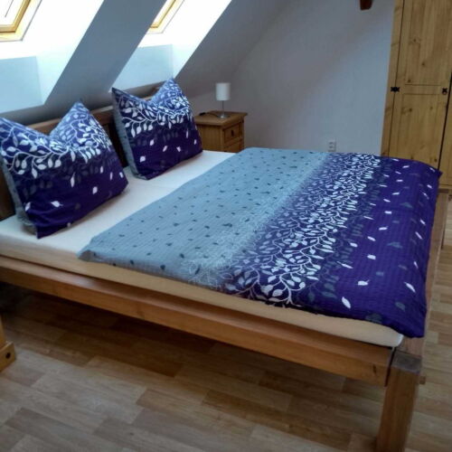 Apartman se sprchou s privátní koupelnou mimo apartmán pro 5 os. (s možností přistýlky)