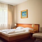 Pokoj s bezbariérovým přístupem s manželskou postelí v přízemí (s možností přistýlky)