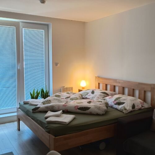 1-Room Air Conditioned Apartment for 2 Persons with Shower (extra beds available)