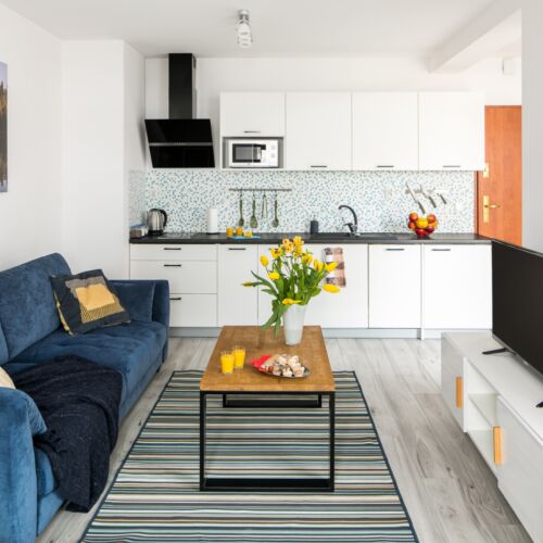 Apartament 4-osobowy Classic Studio z 1 pomieszczeniem sypialnianym