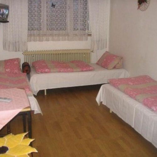 Pokoj se sprchou  pro 3 os.