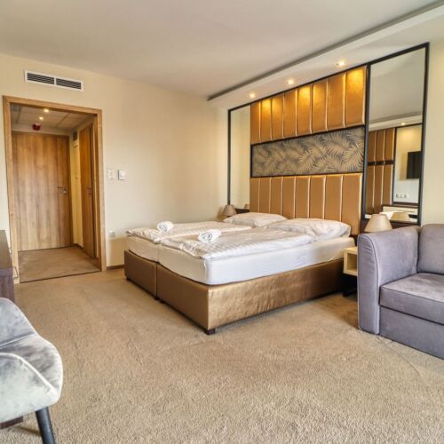 Camera dubla superior cu aer condiționat (se poate solicita pat suplimentar)