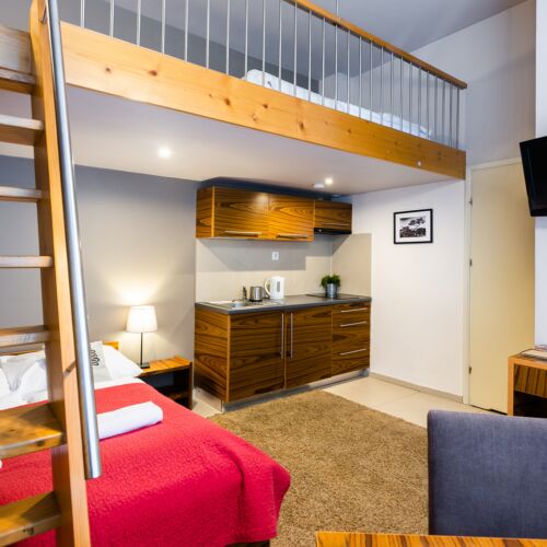 Apartament cu grup sanitar cu chicineta proprie cu 1 camera pentru 4 pers.