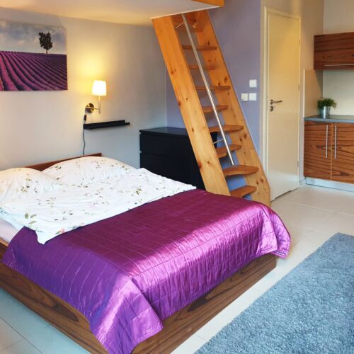 Apartament cu grup sanitar cu chicineta proprie cu 1 camera pentru 3 pers.