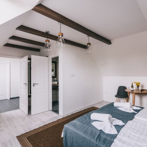 Camera twin la parter