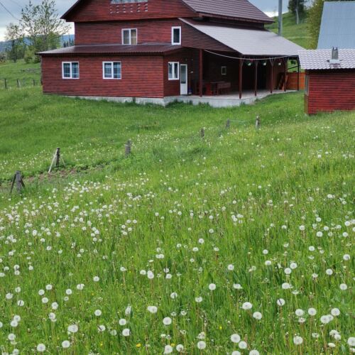 Cabană cu baie pentru 12 pers. (se inchirieaza doar integral)