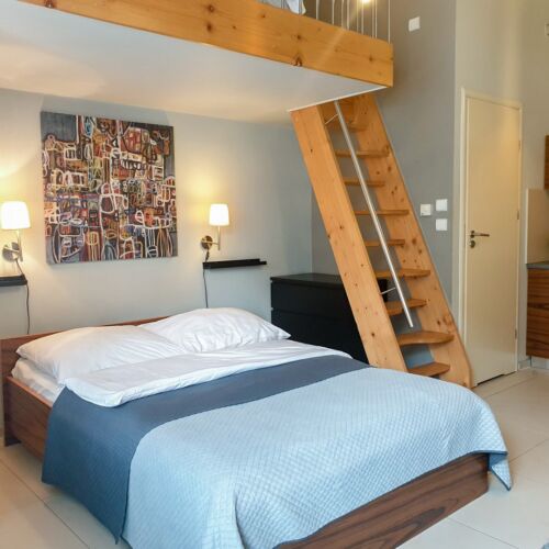 Apartament cu grup sanitar cu chicineta proprie cu 1 camera pentru 3 pers.