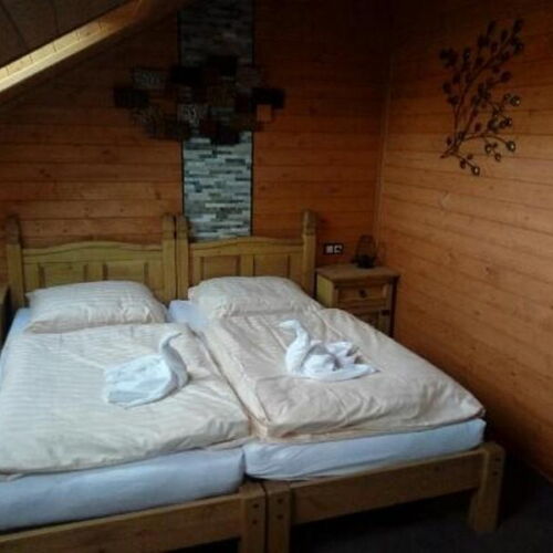 Pokoj se sprchou  s manželskou postelí (s možností přistýlky)