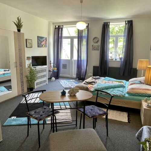 Camera twin deluxe cu duș