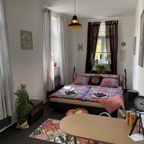 Camera twin deluxe cu duș