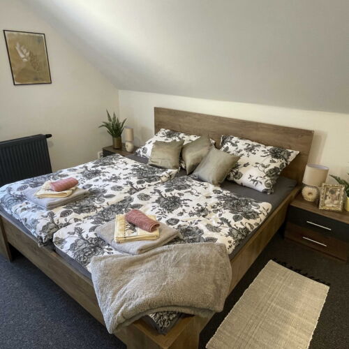 Camera twin deluxe cu duș