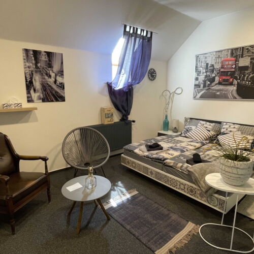 Camera twin deluxe cu duș