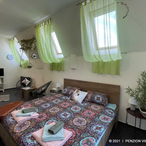 Camera twin deluxe cu duș