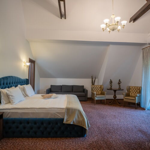 Suita vip cu terasă cu 1 camera pentru 2 pers.