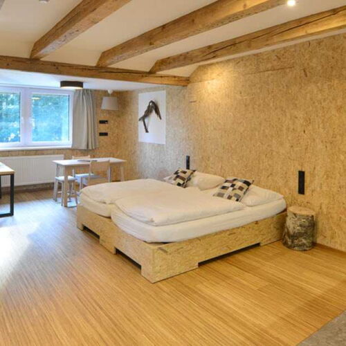 Deluxe Twin Room with Shower