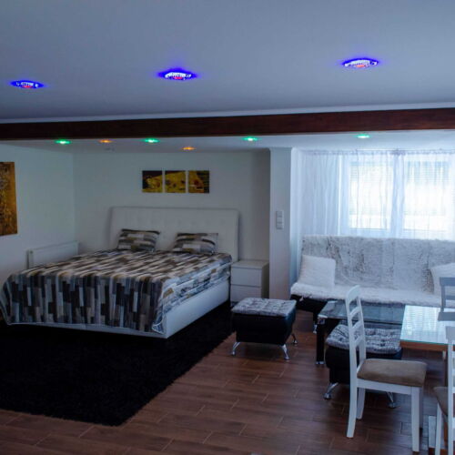 Ground Floor 2-Room Apartment for 4 Persons with Own Kitchen (extra bed available)