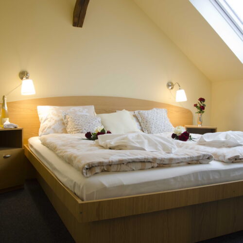 Economy Pokoj se sprchou s manželskou postelí