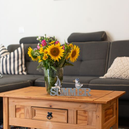 Casă de vară întreaga unitate cu panoramă pentru 4 pers. (se inchirieaza doar integral) (se poate solicita pat suplimentar)