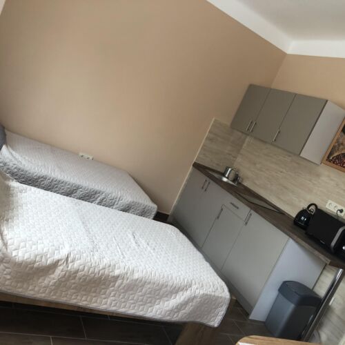 Ground Floor 1-Room Apartment for 2 Persons ensuite