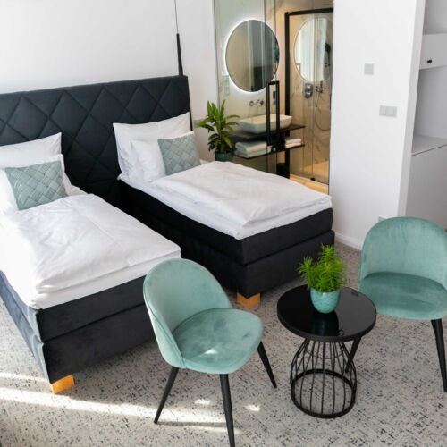 Deluxe Twin Room with Shower