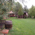 Forest House Zăbala