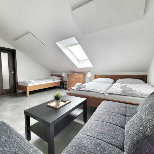 Pokoj se sprchou  pro 3 os. (s možností přistýlky)