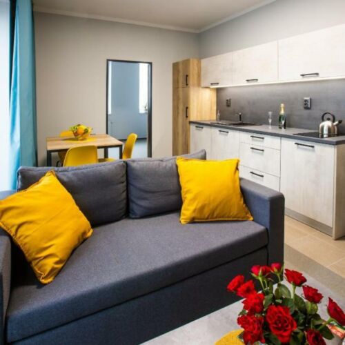 1-Room Apartment for 3 Persons with Kitchenette (extra beds available)