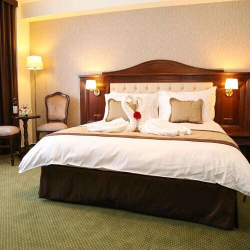 Suita suită Economy cu balcon 3* cu 1 camera pentru 2 pers.