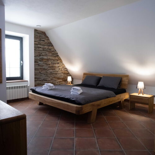 Camera twin cu duș (se poate solicita pat suplimentar)