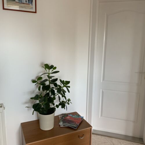 Panoramic 2-Room Air Conditioned Apartment for 4 Persons