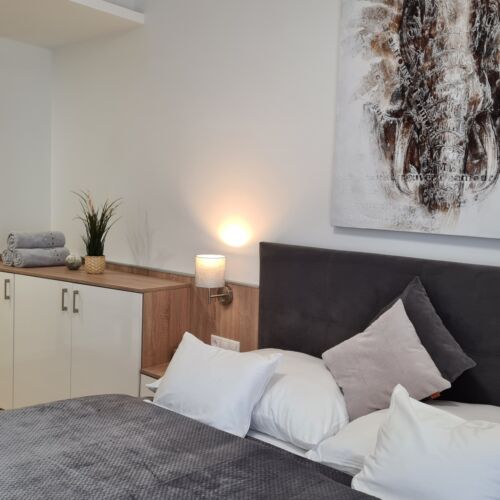 Premium 2-Room Family Apartment for 4 Persons
