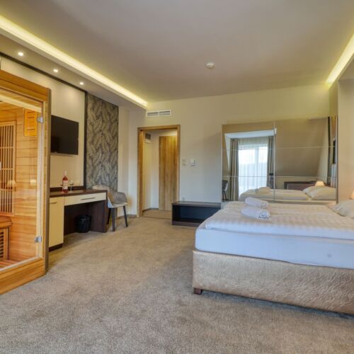 Camera dubla deluxe cu cadă (se poate solicita pat suplimentar)