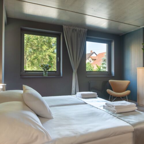 Camera twin standard