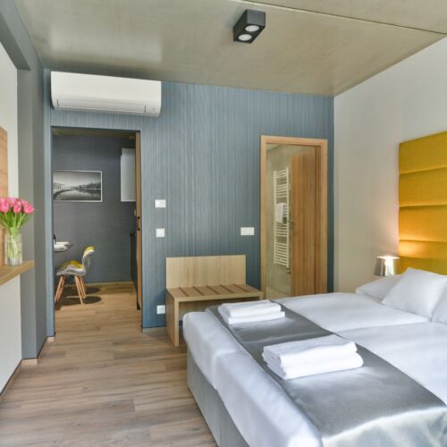 Apartament standard la etaj cu 1 camera pentru 2 pers.