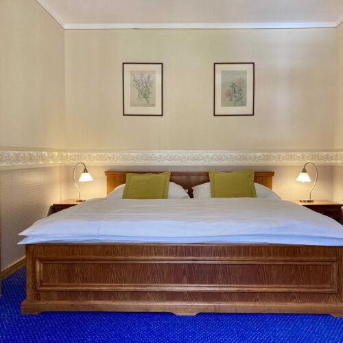 Camera tripla cu duș (se poate solicita pat suplimentar)