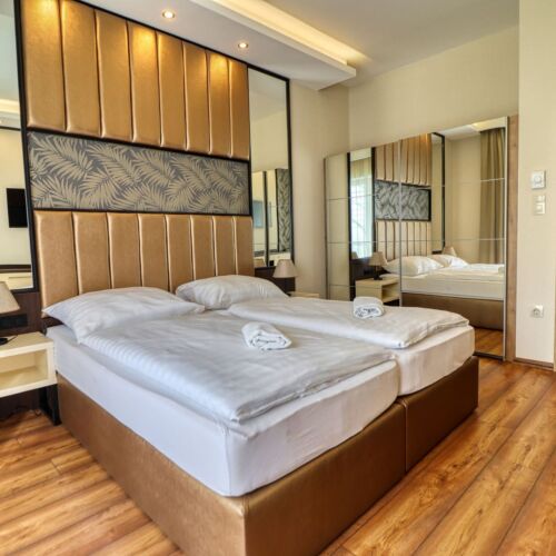 Camera dubla superior accesibil(ă) persoanelor cu dizabilități