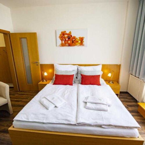 Camera twin standard cu duș