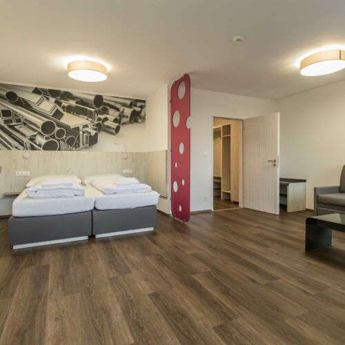 Camera twin deluxe cu duș (se poate solicita pat suplimentar)