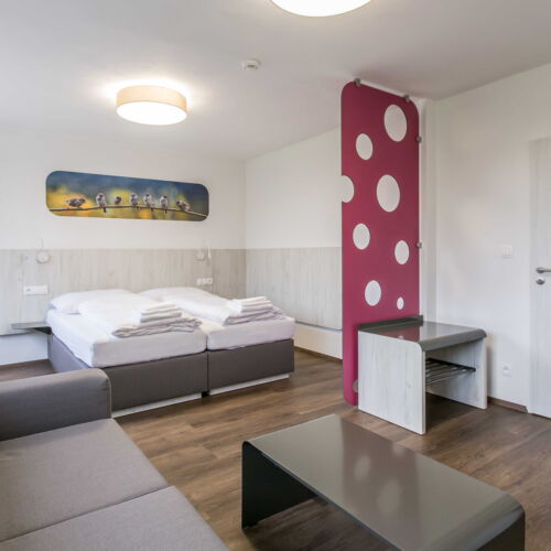 Apartament deluxe cu duș cu 1 camera pentru 2 pers. (se poate solicita pat suplimentar)