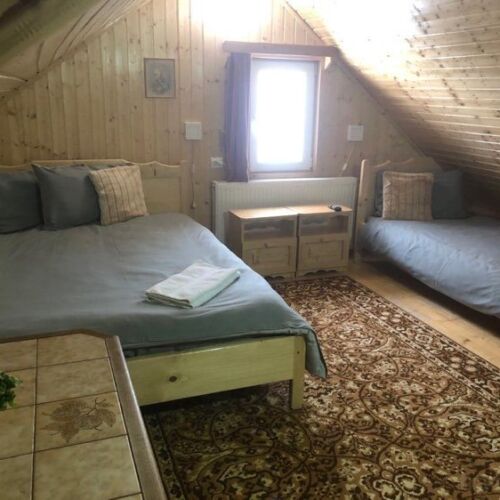 Camera dubla standard