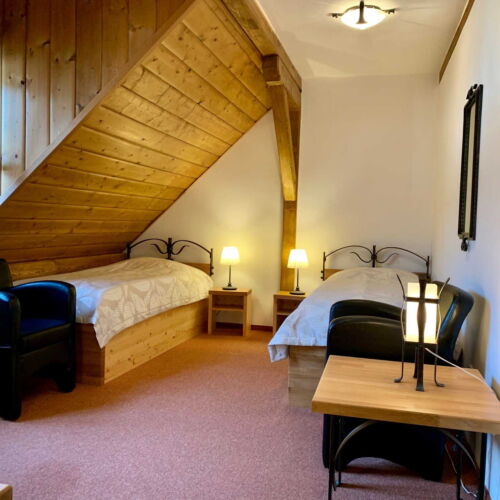 Twin  Pokoj pro 2 os.