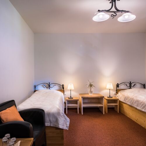 Ground Floor Twin Room